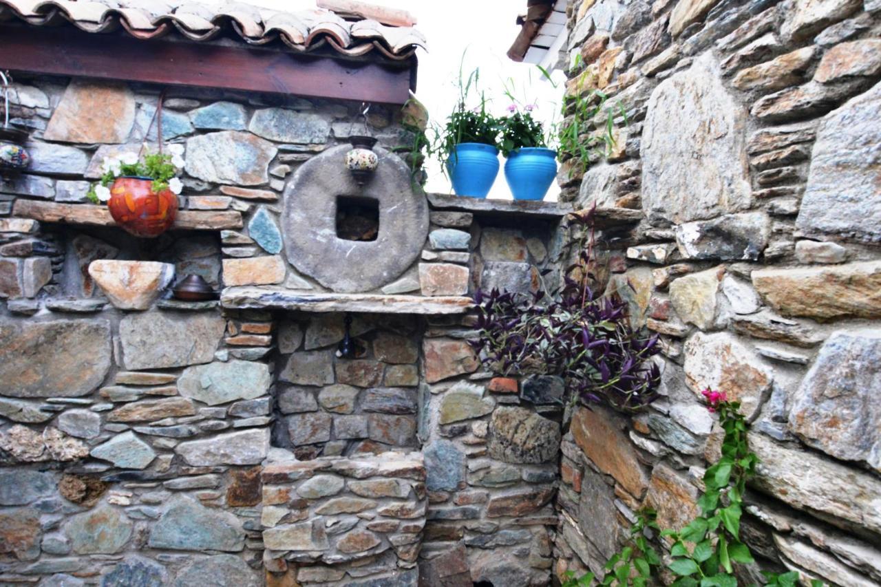Sirincem * Selçuk